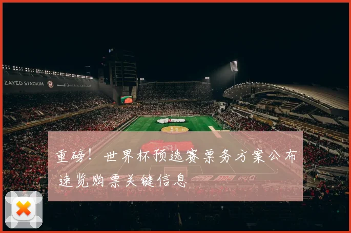 重磅！世界杯预选赛票务方案公布 速览购票关键信息