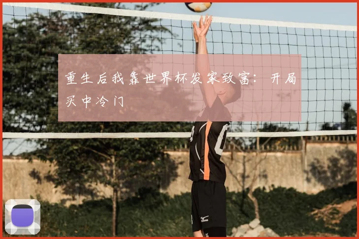 重生后我靠世界杯发家致富：开局买中冷门