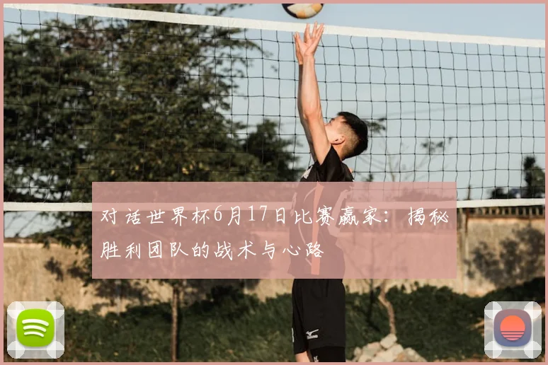对话世界杯6月17日比赛赢家：揭秘胜利团队的战术与心路