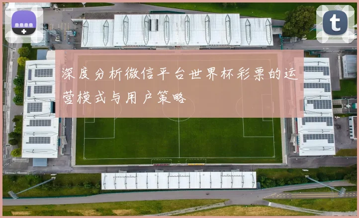 深度分析微信平台世界杯彩票的运营模式与用户策略