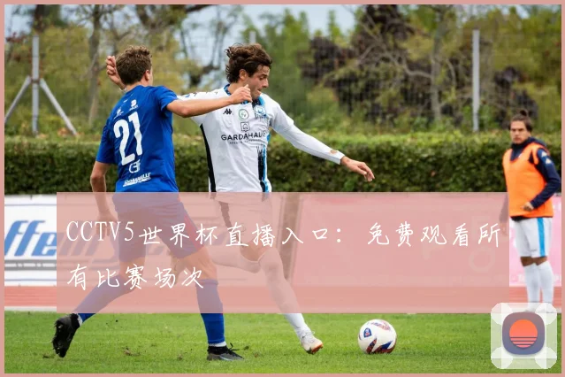 CCTV5世界杯直播入口:免费观看所有比赛场次