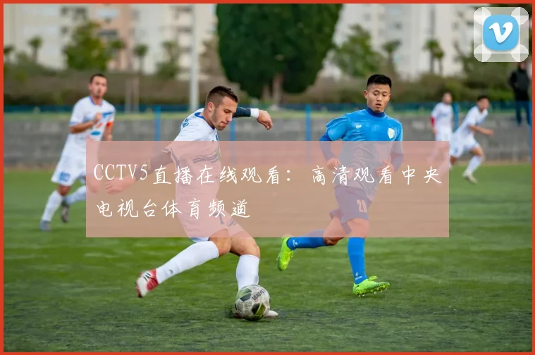 CCTV5直播在线观看：高清观看中央电视台体育频道